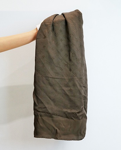 Louis Vuitton Scarf, front view